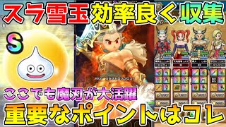 【ドラクエウォーク】スラ雪玉効率良く集めるポイントはコレ！！エスタークの魔刃は今回も大活躍です！！