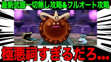 ゴールデンチョコ祠が極悪すぎる…対策必須です！【ドラクエウォーク】【ドラゴンクエストウォーク】