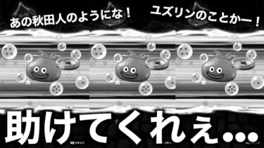 これがオラの最後の気だ…！米50キロ分の有償ジェムをブッパした如意棒魂のフィナーレ【ドラクエウォーク】【ドラゴンクエストウォーク】
