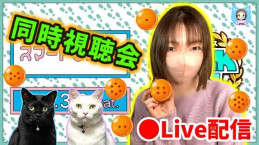 【ドラクエウォーク配信】オラワクワクすっぞ！スマートウォーク同時視聴会ぜってぇ見てくれよな！【ひなさんゲ。】