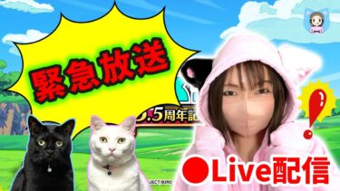 【ドラクエウォーク配信】え、スマートウォーク！？5.5周年の情報くるらしいので正座して待機！【ひなさんゲ。】