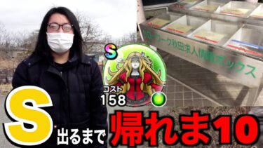 行くも地獄行かぬも地獄！禁断のメイデンドールS出るまで帰れま10【ドラクエウォーク】【ドラゴンクエストウォーク】