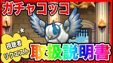 【ドラクエウォーク】『ガチャコッコ取扱説明書』2025/3/仲間モンスター/グランドマスター/グラマス四冠が語るシリーズ【ファンキーズGAME】