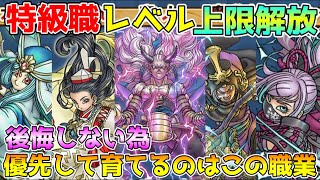 【ドラクエウォーク】特級職レベル上限解放！！優先して育てるのはこの職業で決まり！！、