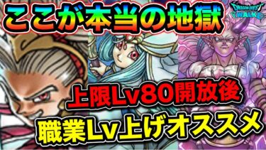 【ドラクエウォーク】今育成するべき職業について。今まではまだ生ぬるかったなんてマジかよ、、ww