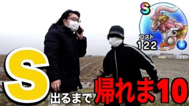 【絶好調男&絶不調男】レジェンドホースS出るまで帰れま10【ドラクエウォーク】【ドラゴンクエストウォーク】