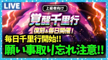 【ドラクエウォーク】福引チケットが最後の頼み事に追加！取り忘れ注意！毎日千里行も！！【雑談放送】