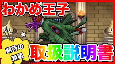 【ドラクエウォーク】『わかめ王子取扱説明書』2025/4/仲間モンスター/グラマス四冠が語るシリーズ/グランドマスター【ファンキーズGAME】