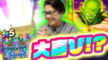 ピッコロ装備…引いてしまった｜ドラゴンボールコラボガチャ ハーフアニバーサリー WALKフェス【ドラクエウォーク】