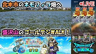 【ドラクエウォークLive】ゴールデンWALK2025 新イベント「思い出の冒険旅行」第一章と鴻巣付近さんぽ【ツイキャス同時配信】
