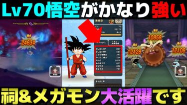 【ドラクエウォーク】育成急いだ方が良いかも！？レベル70悟空が攻略でめっちゃ役にたつ。