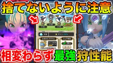 【ドラクエウォーク】この期間捨てないように注意して下さい!! 環境が変わっても最強狩性能でした!!【DQW】