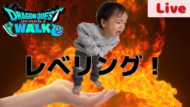 【ドラクエウォーク】第2回！　一人レベリング！配信　ひぃ( *´艸｀)