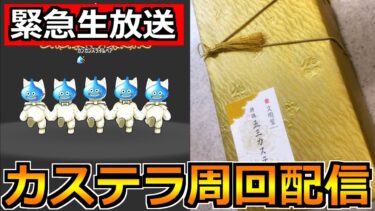 【ドラクエウォーク】カンカンスライムベアのほこらを周回しながら文明堂のカステラを食す！