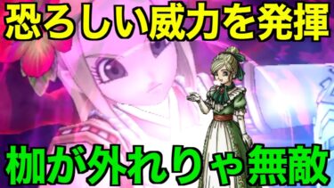 アイツラが帰ってきました。相手は何も出来ずやられるのみです【ドラクエウォーク】【ドラゴンクエストウォーク】