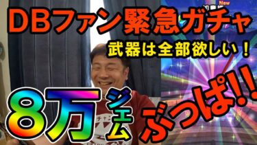 ドラクエウォーク631【年に２回しか引かない男の緊急ガチャ！ドラゴンボール装備は全部欲しい！8万ジェムぶっぱなす！！】