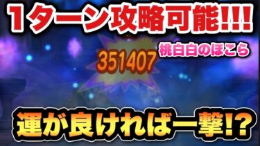 【ドラクエウォーク】噛み合えば1ターン攻略可能です！桃白白のほこらは一撃必殺の夢を追えます