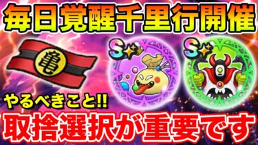 【ドラクエウォーク】覚醒千里行が毎日＆復刻開催!! やるべきこと＆取捨選択が超重要です!!【DQW】