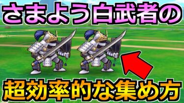 【ドラクエウォーク】さまよう白武者が1週間限定で実装！効率的な集め方はコレ！