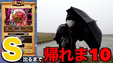 防風雨のあかおにまるＳ出るまで帰れま10【ドラクエウォーク】【ドラゴンクエストウォーク】