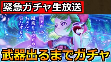 【ドラクエウォーク】ケキちゃん引くまでフウラ装備ガチャ！爆死もうほんとやめてくれ！