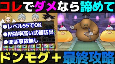 【ドラクエウォーク】安定しない・倒せない方向けのドン・モグーラ＋最終攻略。
