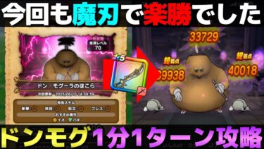 【ドラクエウォーク】新ほこらドン・モグーラ1ターン攻略。魔刃といきピオがあれば簡単。