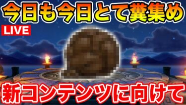 【ドラクエウォーク】神武器生成に向けて素材集めます!!【DQW】