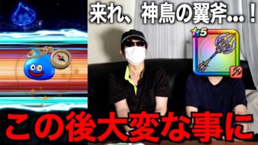 神鳥の翼斧がどうしても欲しくて有償ジェムに全てを託した結果・・・【ドラクエウォーク】【ドラゴンクエストウォーク】
