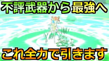 【ドラクエウォーク】この超理想性能が来たら全力引き！このガチャはめちゃくちゃ楽しみ！