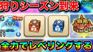 【ドラクエウォーク】レベリングし放題かよ！自宅狩り最強シーズン到来、天気心珠BOX２も追加。
