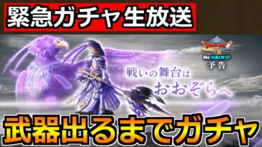 【ドラクエウォーク】レティスの翼斧が出るまでレティス装備ガチャ！今日こそは！今日こそは！！！笑