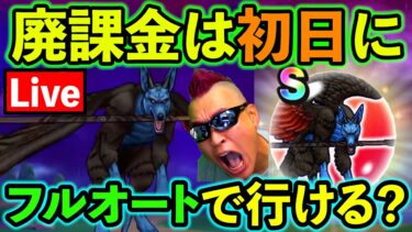 【ドラクエウォーク】廃課金は初日から華麗にフルオートでメガモンを処理できるのか？
