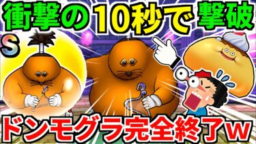 ドン・モグーラのほこら【完全攻略】オート スキル制限 プラス ＋【ドラクエウォーク】【ドラゴンクエストウォーク】【DQW】【DQウォーク】【弱点】【初心者】【1ターン】