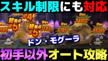 【ドラクエウォーク】スキル制限に対応したドン・モグーラ攻略PT。