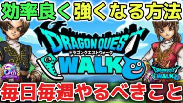 【ドラクエウォーク】新規勢復帰勢向け※効率よく強くなる為にやるべきことについて！レベル上げと同時並行で活用してみて下さい！【DQウォーク】