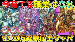 【ドラクエウォーク】今優先して育てる職業はこれ！！9,300万経験値全部使う価値あり！！