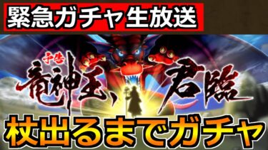 【ドラクエウォーク】竜神王の杖を引くまで竜神王装備ガチャ！今日も安定の神引きするぞ！
